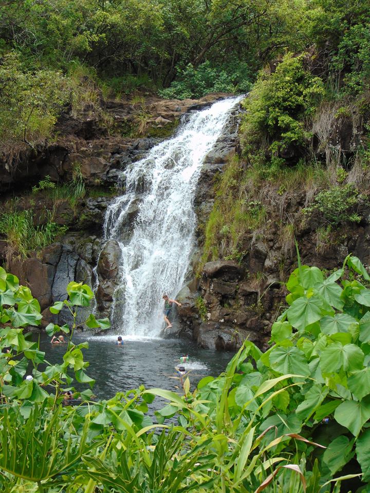 waimea falls