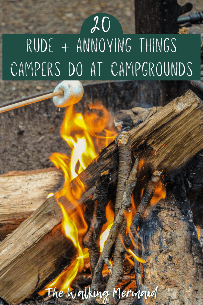 Marshmallow over a campfire. Posted on a camping guide that shares 20 rude and annoying things that campers do at campgrounds. 