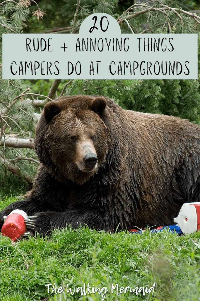 A bear tearing through food that was left out at a campsite / campground. Posted on a camping guide that shares 20 rude and annoying things that campers do at campgrounds. 