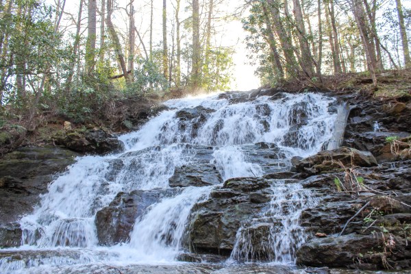 vogel state park