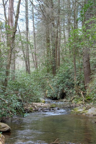 DeSoto Falls Georgia