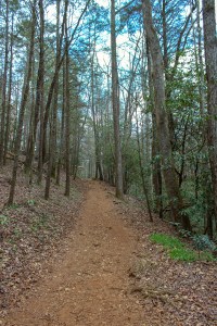 desoto falls trail