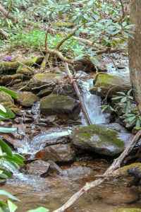 desoto falls georgia