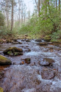 desoto falls trail