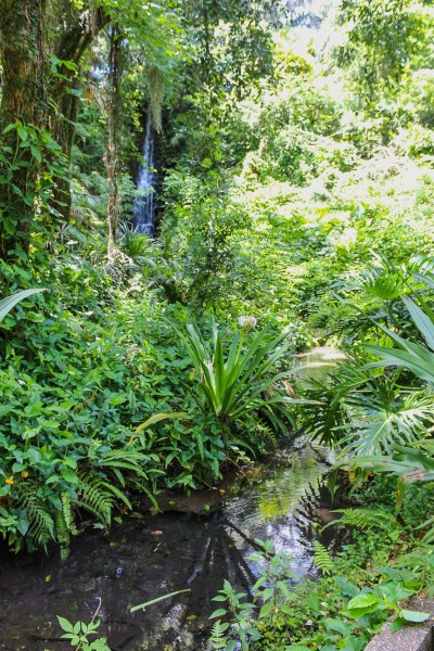 rainbow springs state park florida waterfalls