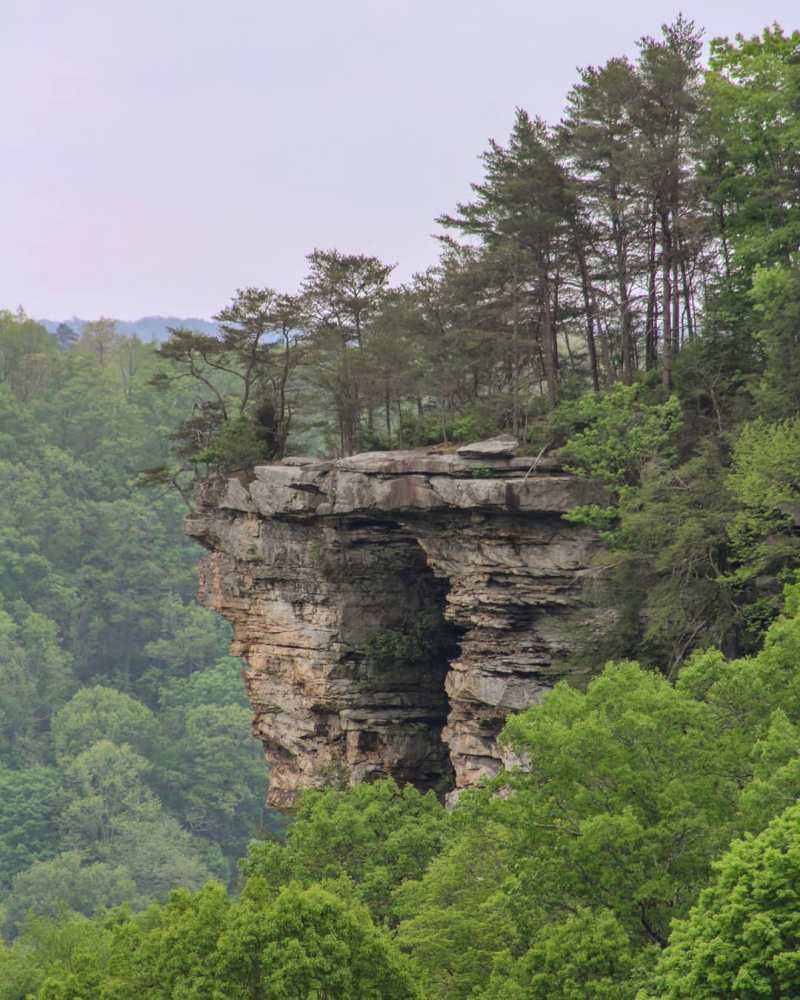 stone door overlook south cumberland state park tennessee