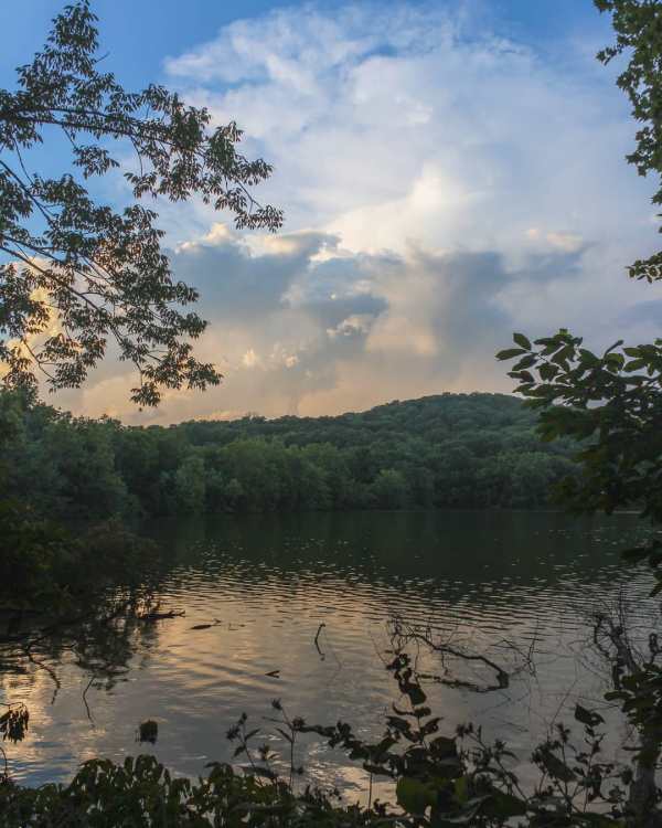 radnor lake nashville tennessee