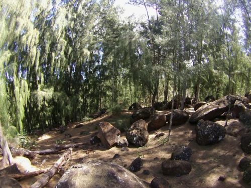 ehukai pillbox