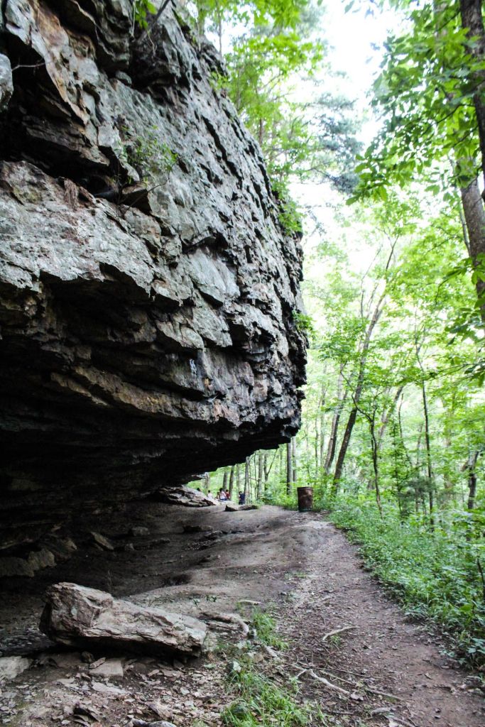 the caves found at alum hollow