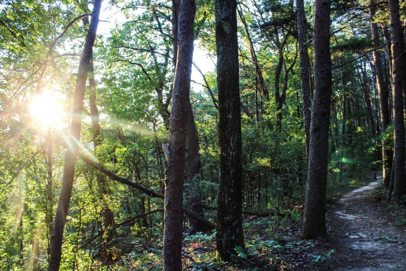 sunset views at alum hollow trail in huntsville, alabama in green mountain