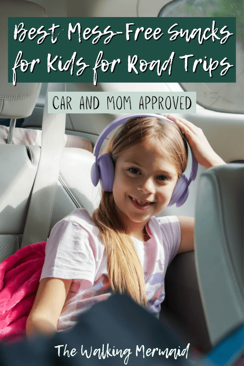 Best Mess-Free Snacks for Kids for Road Trips