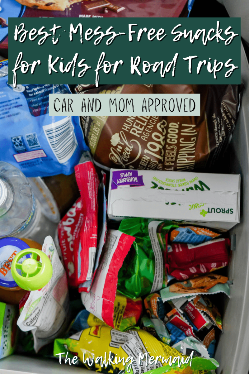 Best Mess-Free Snacks for Kids for Road Trips