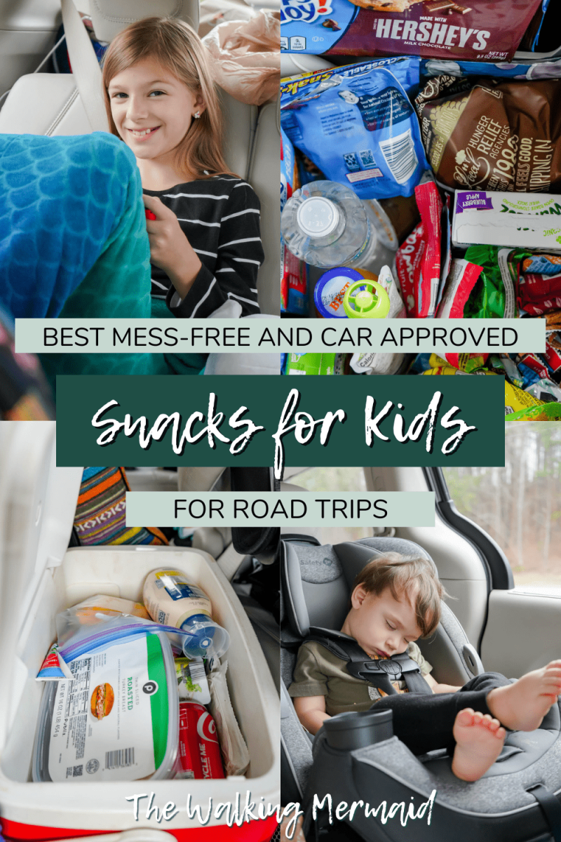 Best Mess-Free Snacks for Kids for Road Trips