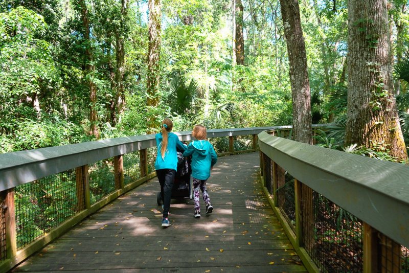 Two girls pushing a stroller through a boarded nature trail at Silver Springs State Park.