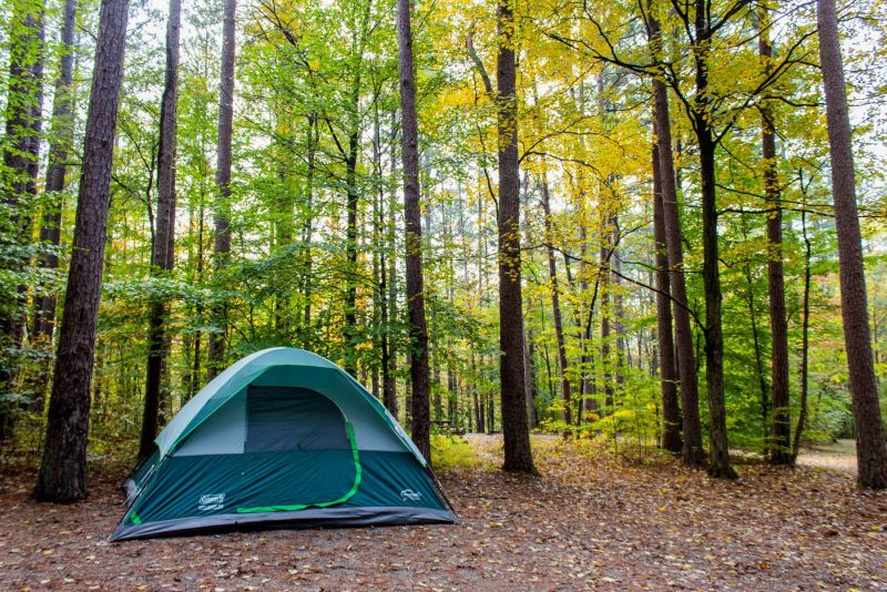 A tent set up at Shawnee National Forest in Illinois surrounded by fall foliage. Posted on a camping guide that shares rude and annoying things that campers do. 