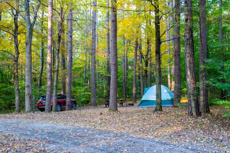 Photo of a tent set up at a campsite in Illinois. Posted on a camping guide that shares 20 Rude and Annoying Things Campers Do at Campgrounds