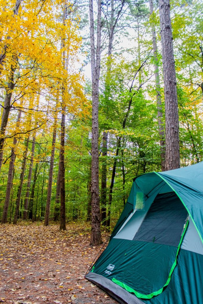 A tent set up and surrounded by fall foliage at Shawnee National Forest in Illinois. Camping Etiquette - Rules for Campers