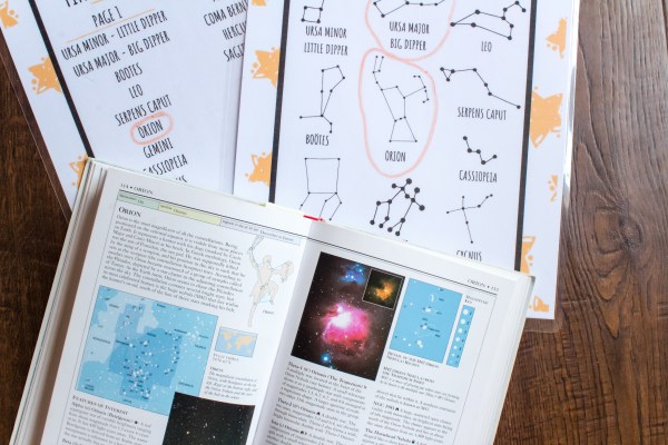 books and children's activity scavenger hunt constellation stars astronomy