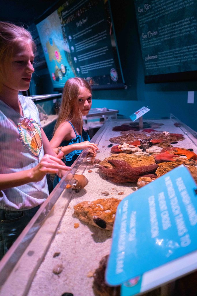 The girls petting sea stars at the Mertailor's Mermaid Aquarium Encounters. 