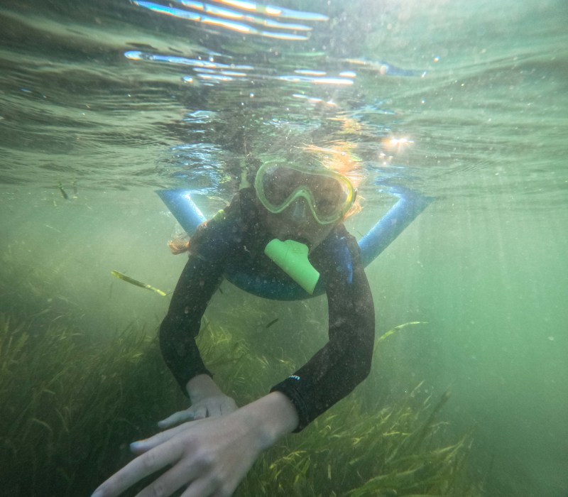 A girl snorkeling in the springs at Crystal River on a swim with manatees tour.