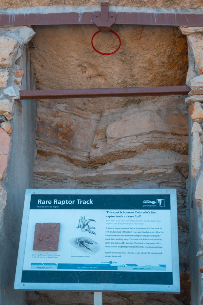 A raptors footprint engraved in a rock wall at Dinosaur Ridge in Morrison, Colorado. 