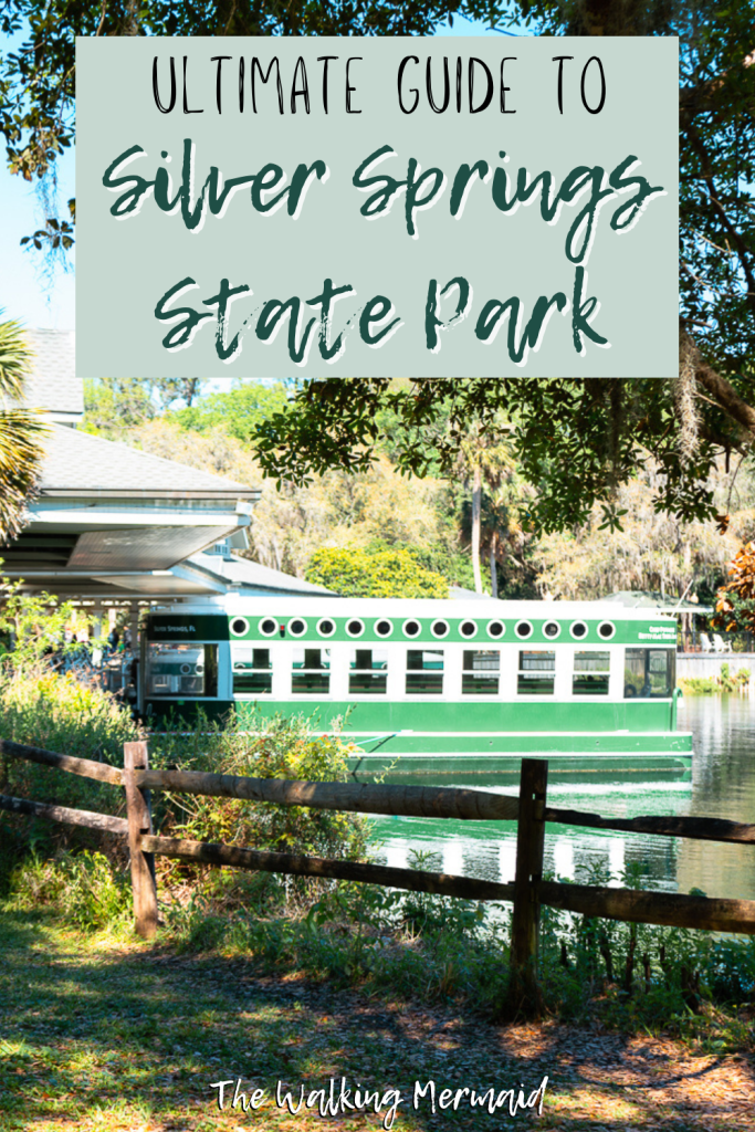 Photo of glass bottom boats at the dock at Silver Springs State Park with overlay linked to a travel guide called Ultimate Guide to Silver Springs State Park in Ocala, Florida. 