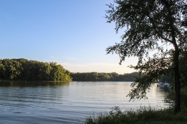 Piney Campground Land Between The Lakes Virginia Loop Kentucky Lake