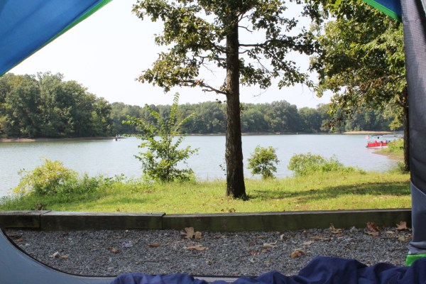 Piney Campground Land Between The Lake Kentucky Lake Virginia Loop