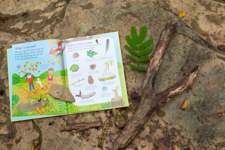 nature books kids usborne