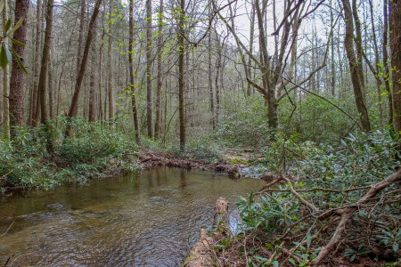 DeSoto Falls