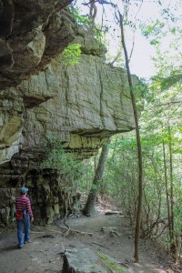 south cumberland state park tennessee greeter falls trail