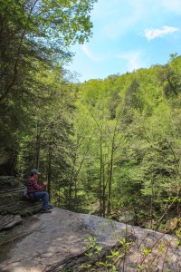 greeter falls south cumberland tennessee