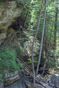 greeter falls trail tennessee south cumberland state park