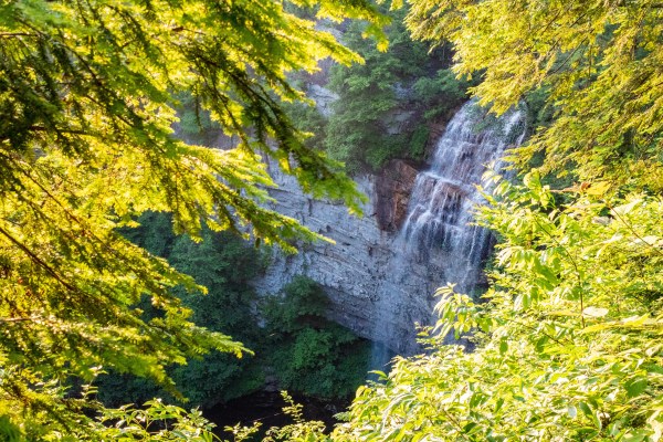 View of the waterfall from Fall Creek Falls overlook.