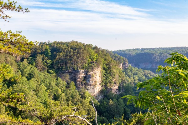 View of the waterfall from Fall Creek Falls overlook.