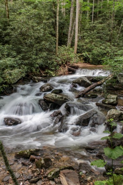 anna ruby falls helen georgia unicoi state park