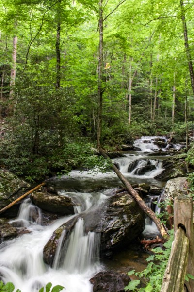 anna ruby falls georgia