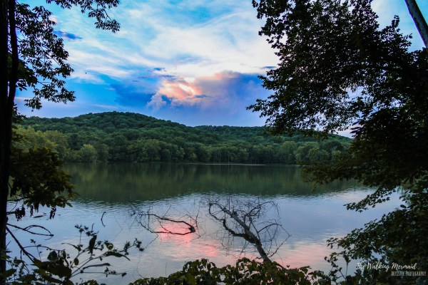 radnor lake nashville tennessee