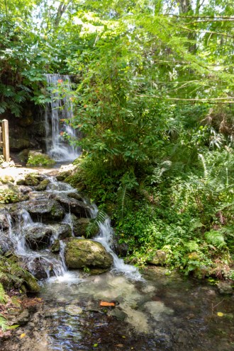 rainbow springs state park florida waterfalls