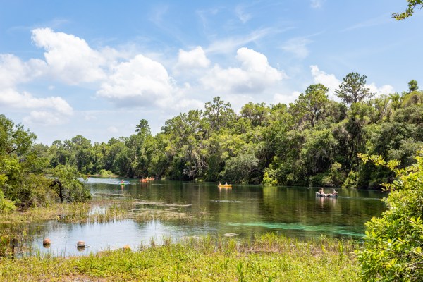 rainbow springs state park florida 