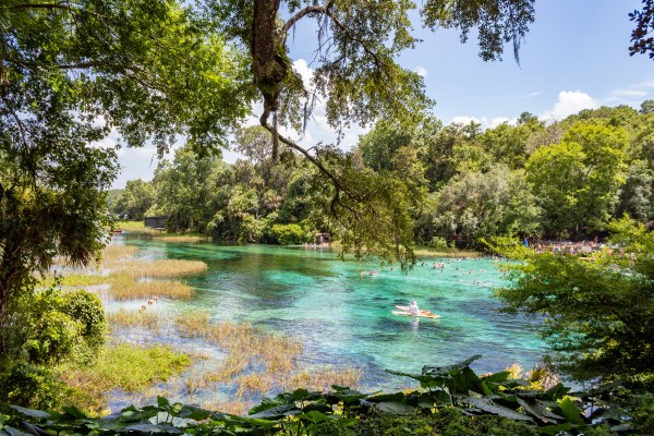 rainbow springs state park florida 