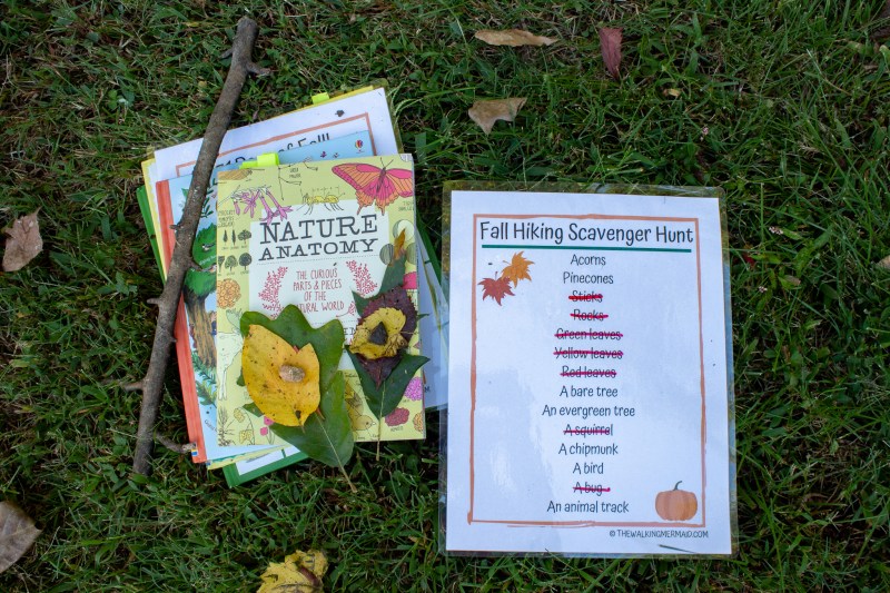 fall kids scavenger hunt and activities nature book fall leaves on books laminated sheet