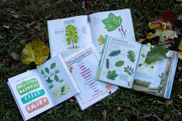 fall kids scavenger hunt and activities nature book fall leaves on books laminated sheet