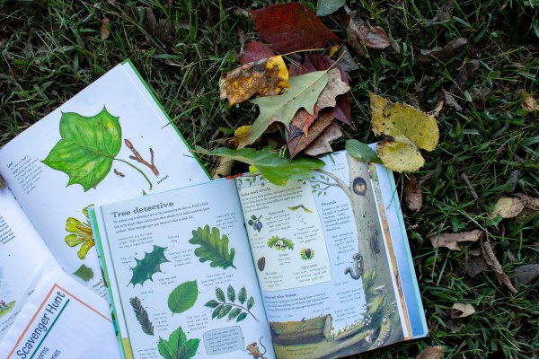 fall kids scavenger hunt and activities nature book fall leaves on books laminated sheet