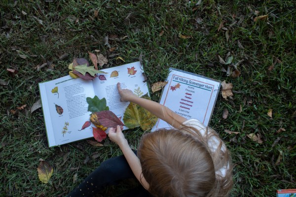 fall kids scavenger hunt and activities nature book fall leaves on books laminated sheet