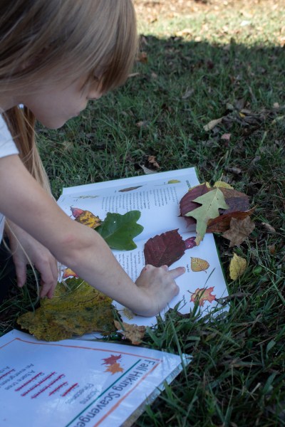 fall kids scavenger hunt and activities nature book fall leaves on books laminated sheet