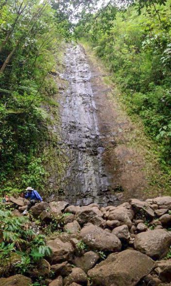 Manoa Falls