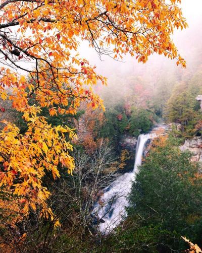 piney creek falls fall creek falls state park tennessee hiking outdoor nature fall waterfalls