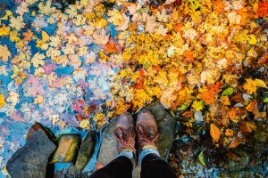 Artistic photo of hiking boots by the water surrounded by yellow, red, and orange, autumn leaves.