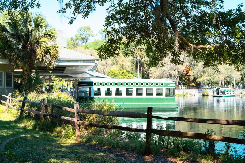 Glass bottom boats at Silver Springs. These tours are very popular for visitors of the state park.